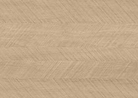 0423_Dub_Albero_Stoleshnica