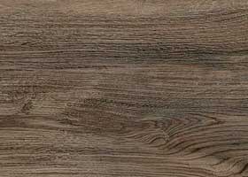 0448_Dub_Baden_Soyuz