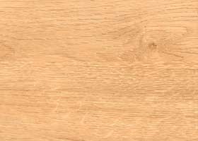 0487_Santiago_Stoleshnica