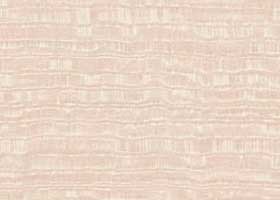 241-Dallas-Stolesh-Skif