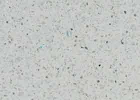 433-Edelveis-Stoleshnica