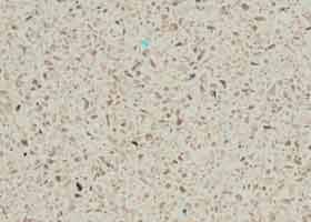 434-Toffi-Stoleshnica