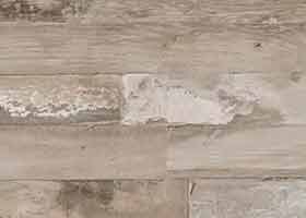 9742m-Letuchiy-Gollandets-Stoleshnica