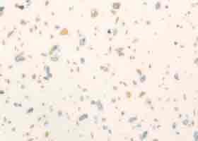 976-Kapella-Stoleshnica