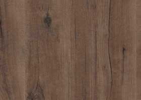 D507-Oreh-Extravert