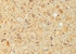 Столешница Скиф Артстоун 422 Б 38x700x3000