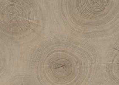 2059_FL-Ipanema-Kedr.jpg_product