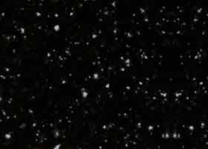 70007_Stain_Kedr.jpg