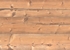 Столешница Скиф Ель золотистая 116 M 26x600x3000
