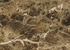 Столешница Скиф Шоколадный опал глянец 184 ГЛ 38x800x4200