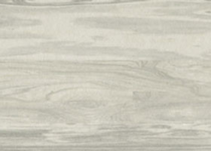 051-Oliva.jpg