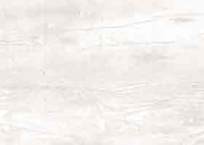 124-Sosna-Beton-Skif.jpg