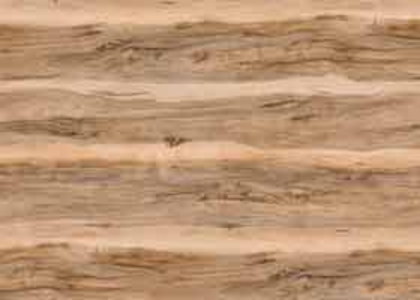 2613-Dud-Shotlandsky.jpg_product