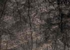 Столешница Slotex Black Quartzite 8113 R 38x600x4200
