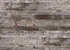 Столешница Slotex Grunge Wood 8090 Bw 38x600x4200