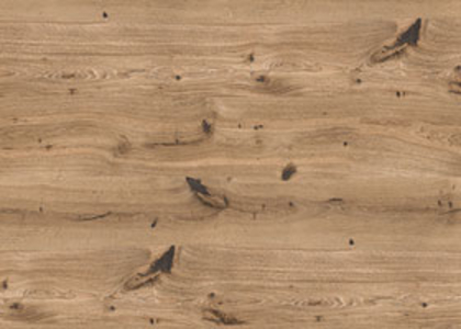 8074-Arkticheski-Dub.jpg_product_product_product_product