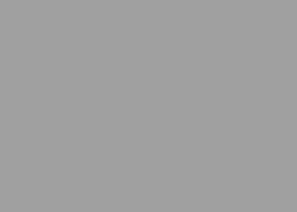 M419-Sery-Galechny-Extravert.jpg