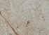 Скинали Скиф Мрамор фиор 210 М 6x600x3000