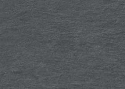 F417-Slanec-Altaysky-Extravert.jpg
