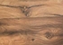 Столешница Скиф Дуб Корсика светлый 232 П 38x600x700