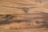 Столешница Скиф Дуб Корсика светлый 232 П 38x600x700