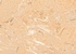 Столешница Кедр Оникс классический бежевый 38x1100x4100