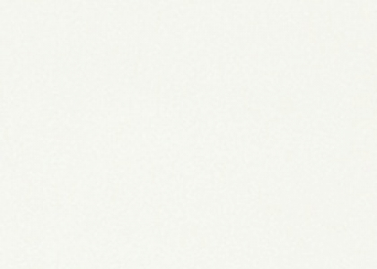 4100.jpg