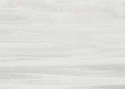 4092_Oliva_Sample_Kedr.jpg