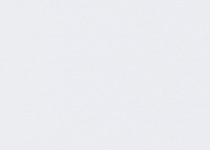 8681.jpg
