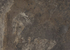 Столешница Egger Шифер пестрый R3 F256 ST87 38x600x2050