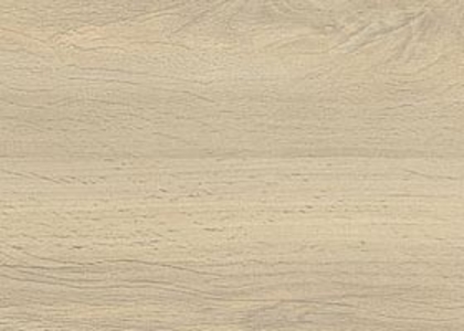 R24029_basic.jpg