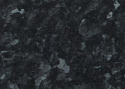 5568.jpg
