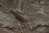 Столешница Egger Мрамор чиполлино черная медь R3 F094 ST15 38x920x4100